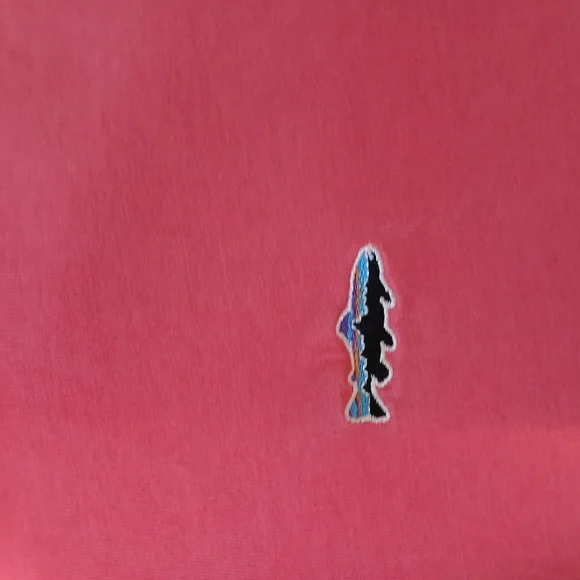 Patagonia Color Salmon Polo Shirt - Picture 3 of 6